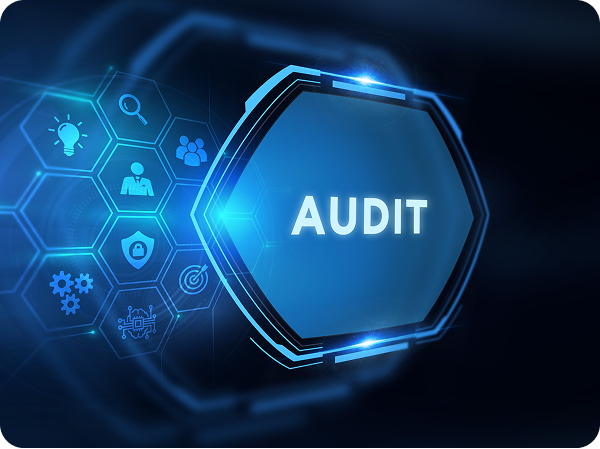 audit
